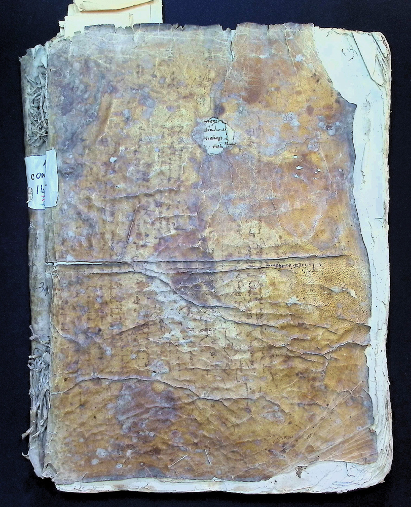 Libro dei Consigli 1434 - 1437