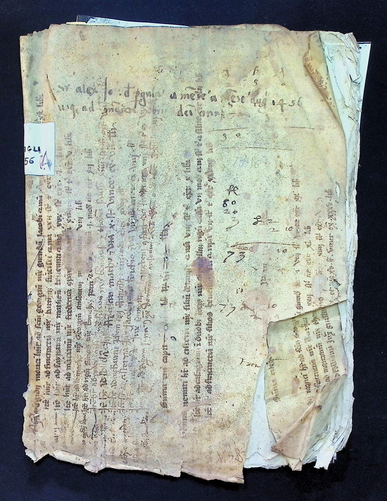 Libro dei Consigli 1456