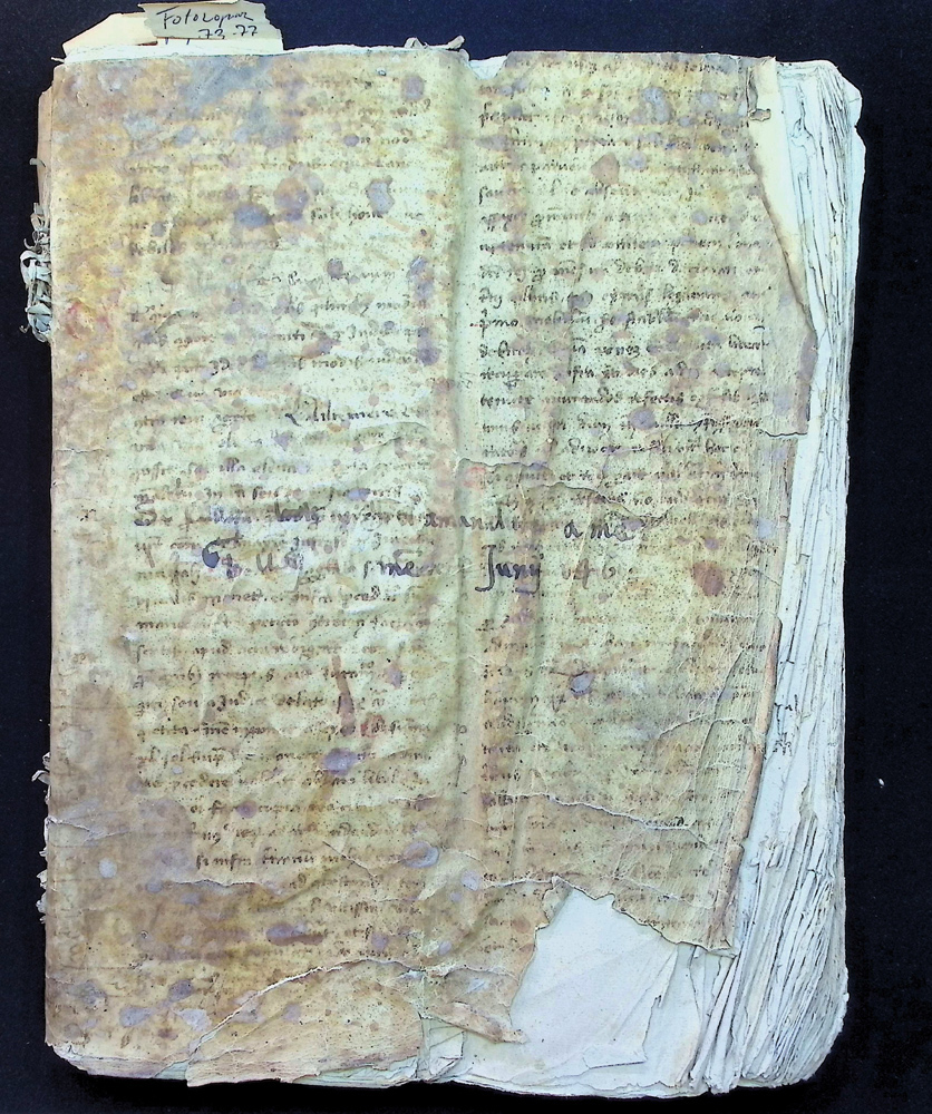 Libro dei Consigli 1461-1464