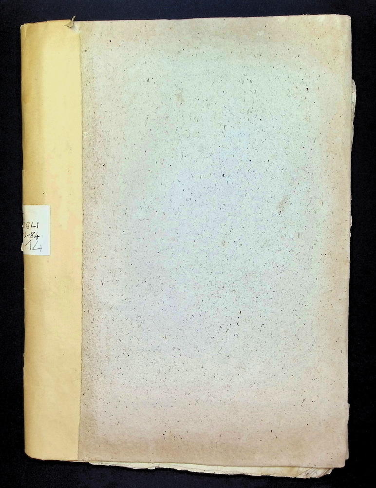 Libro dei Consigli 1483 - 1484
